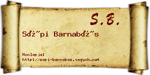 Sápi Barnabás névjegykártya