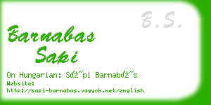 barnabas sapi business card